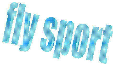 fly sport